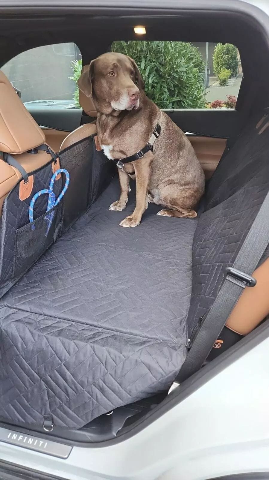 Firm Back Seat Extender for Dogs, Hard Bottom Dog Car Cover Bed Camping Mat Gray Mat In Car