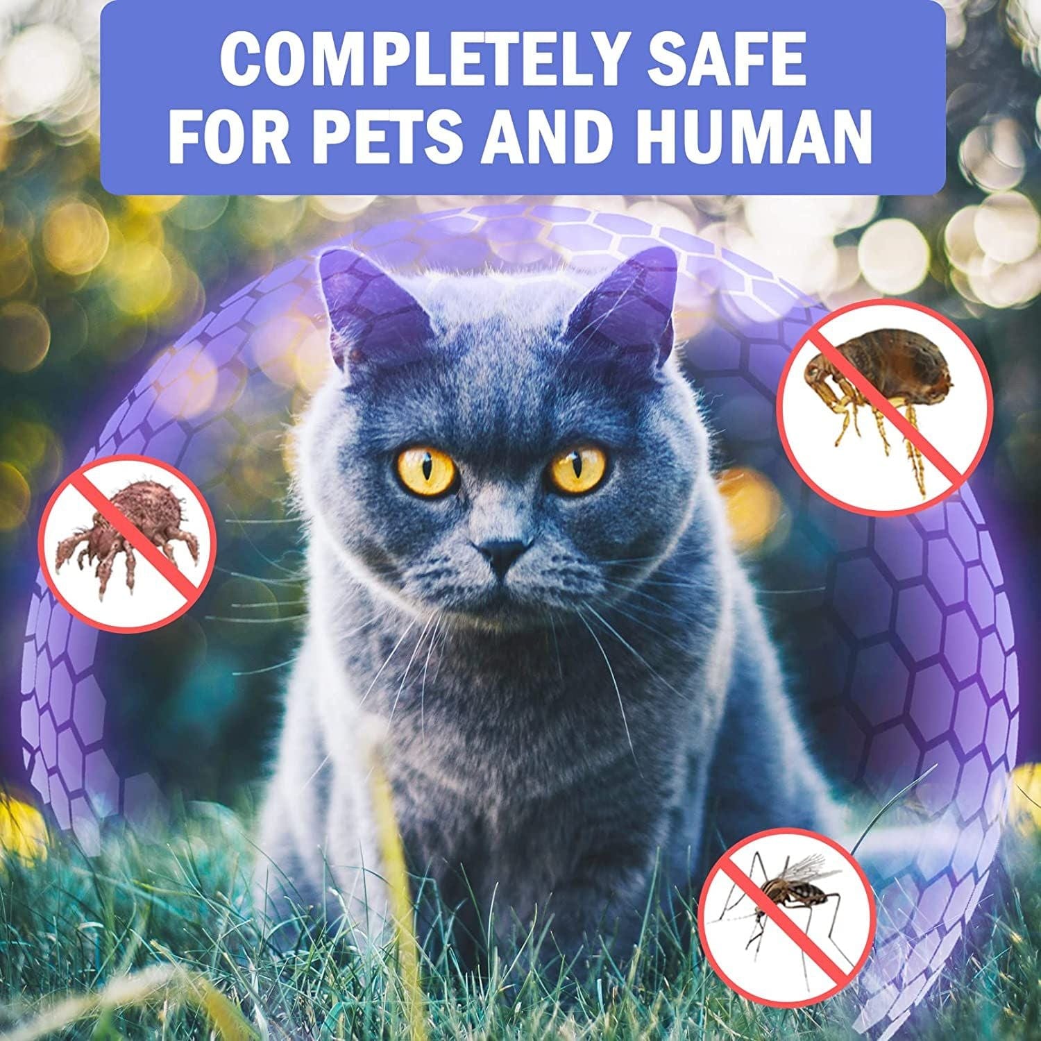 Safe for Pets