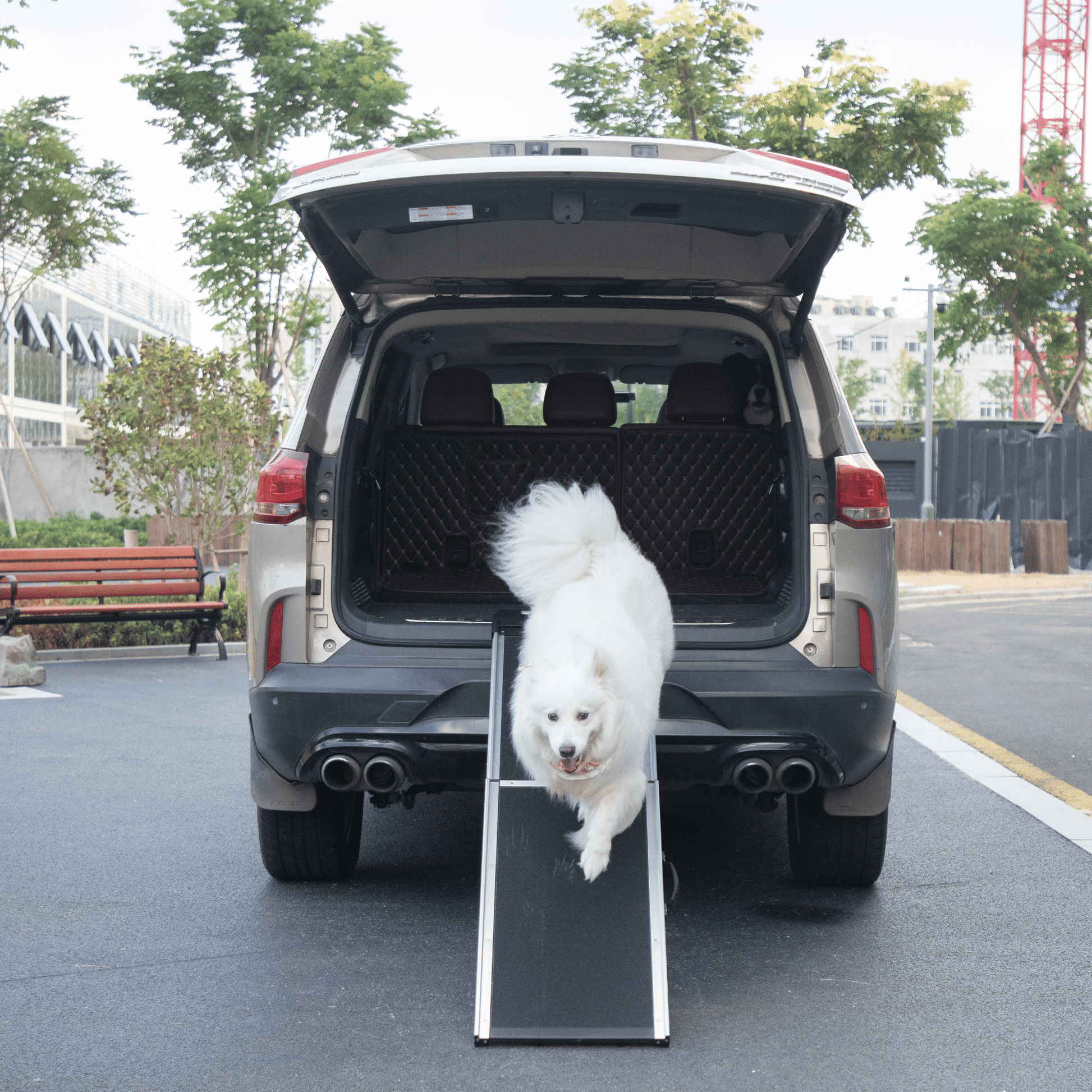 Pet Ramp Ladder, Black