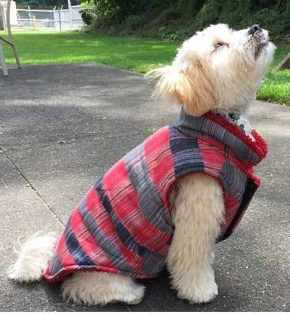 Pet Life 'Scotty' Tartan Classical Plaided Insulated Dog Coat Jacket - 9 of 9