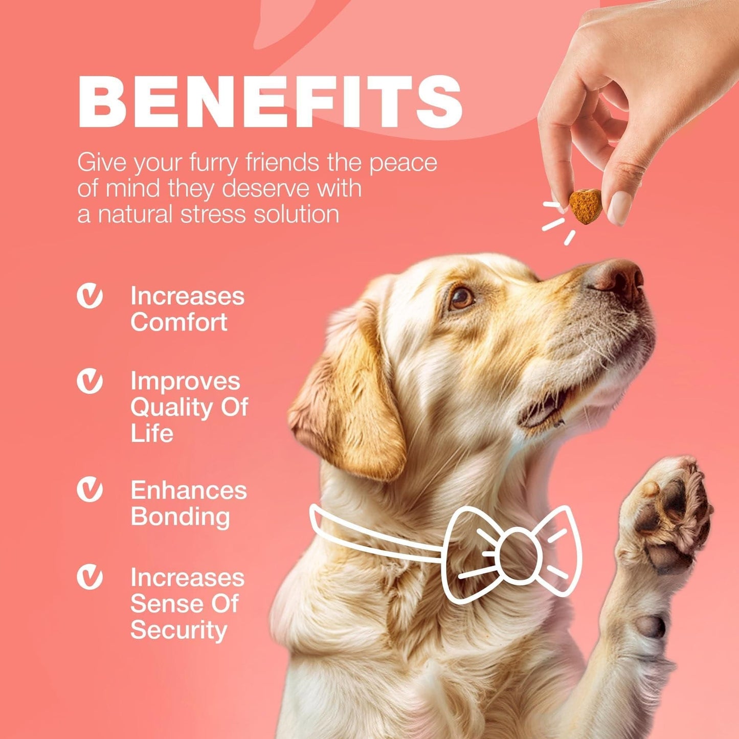 Dog Flea and Tick Treatment Chews FleaTick Prevention for Dogs Chewables Natural Dog Flea & Tick Control Soft Treats Immune Support Supplement Label