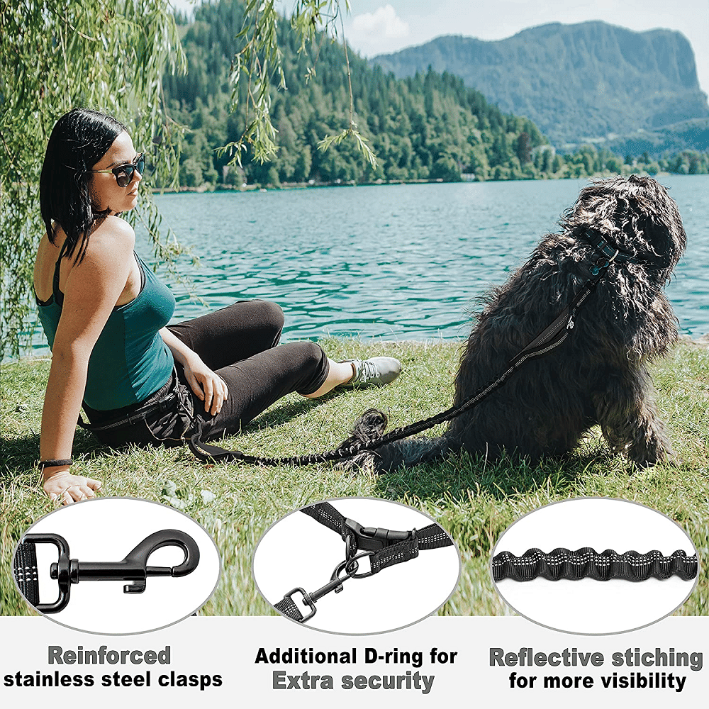 Hands Free Dog Leash for Medium and Large Dogs - Durable Dual Handle Waist Leash with Reflective Bungee for Running; Walking; Training; Hiking secure clasp