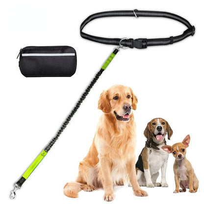 Hands Free Dog Leash with Zipper Pouch; Dual Padded Handles and Durable Bungee for Walking; Jogging and Running Safely with Dog