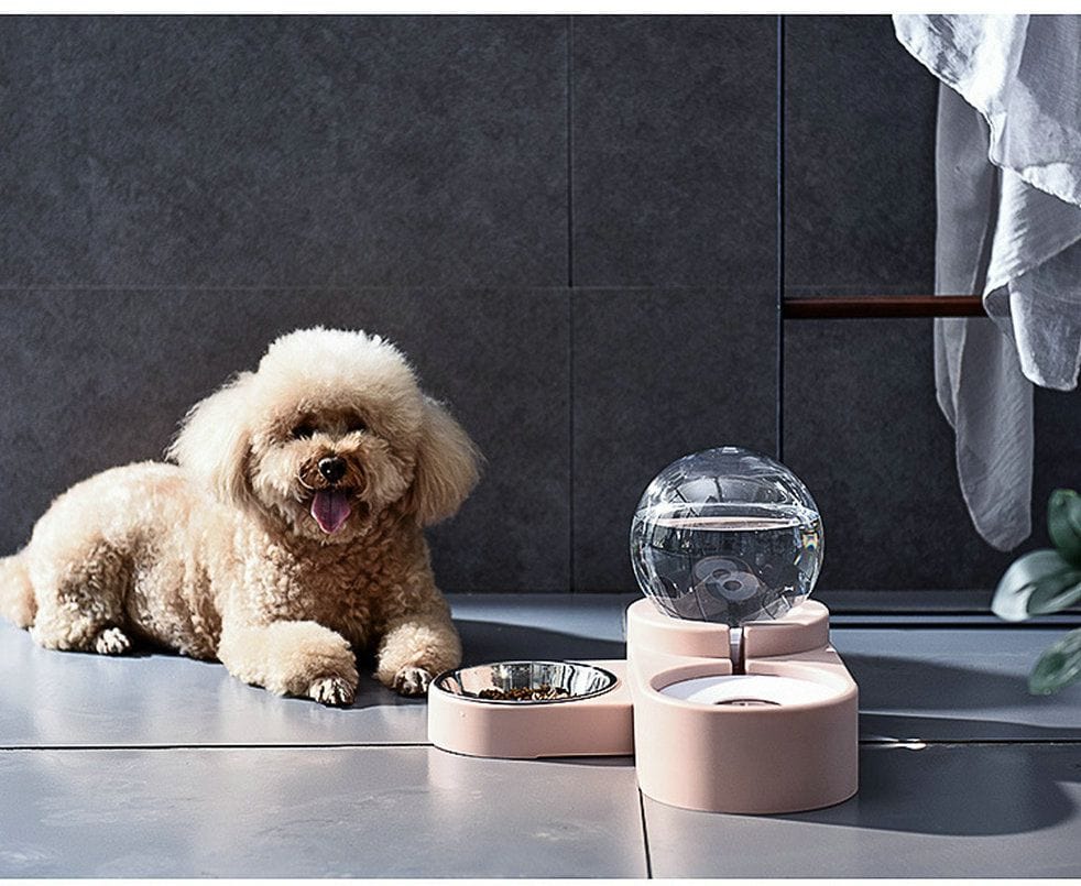 Large Pet Feeder Automatic Drinking Fountain and Food Bowl Pet Water Dispenser with Mouth Separator Pink with dog