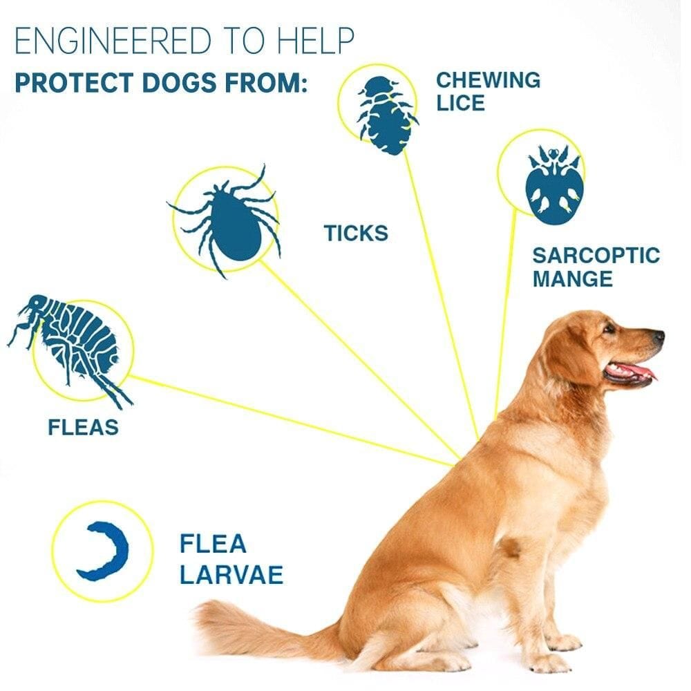 Engineered to Help Protect your dog