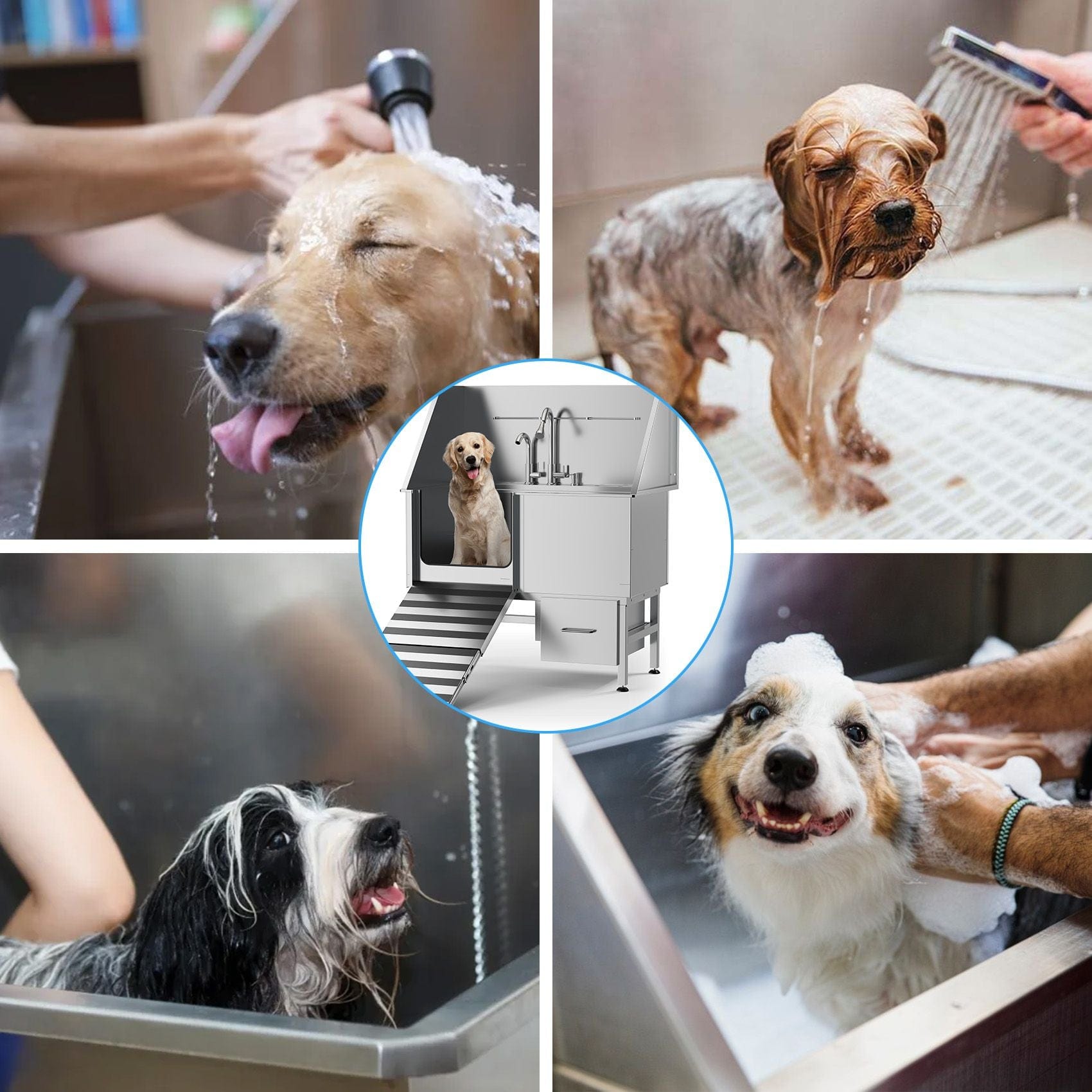 4 pictures of bathing dogs