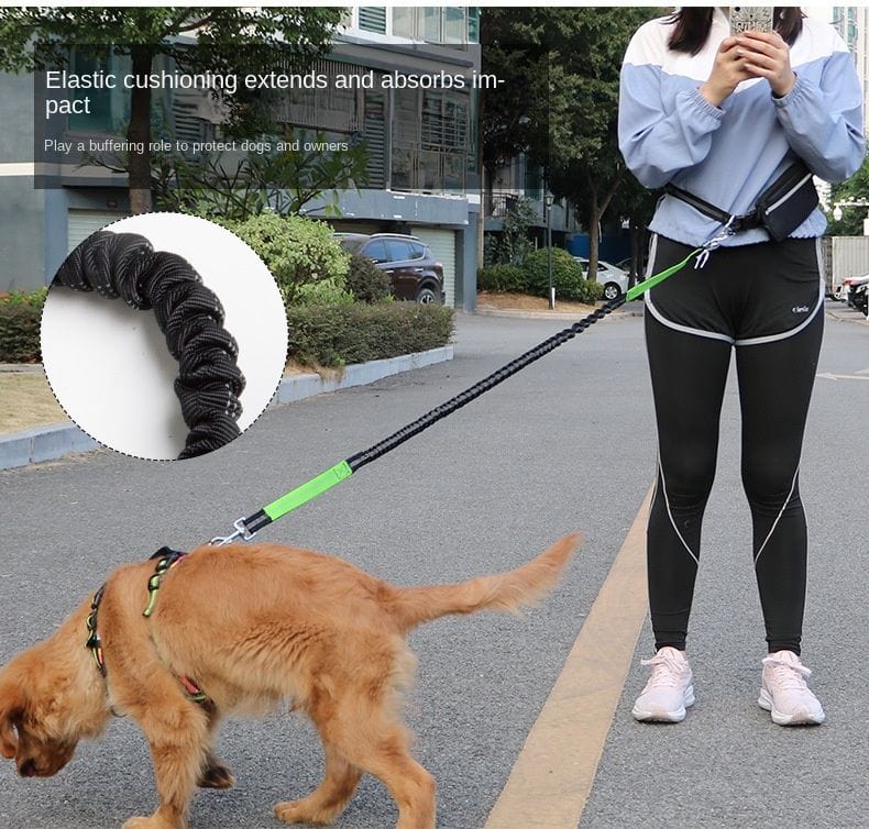 Hands Free Dog Leash with Zipper Pouch; Dual Padded Handles and Durable Bungee for Walking; Jogging and Running Your Dog safe for you and dog