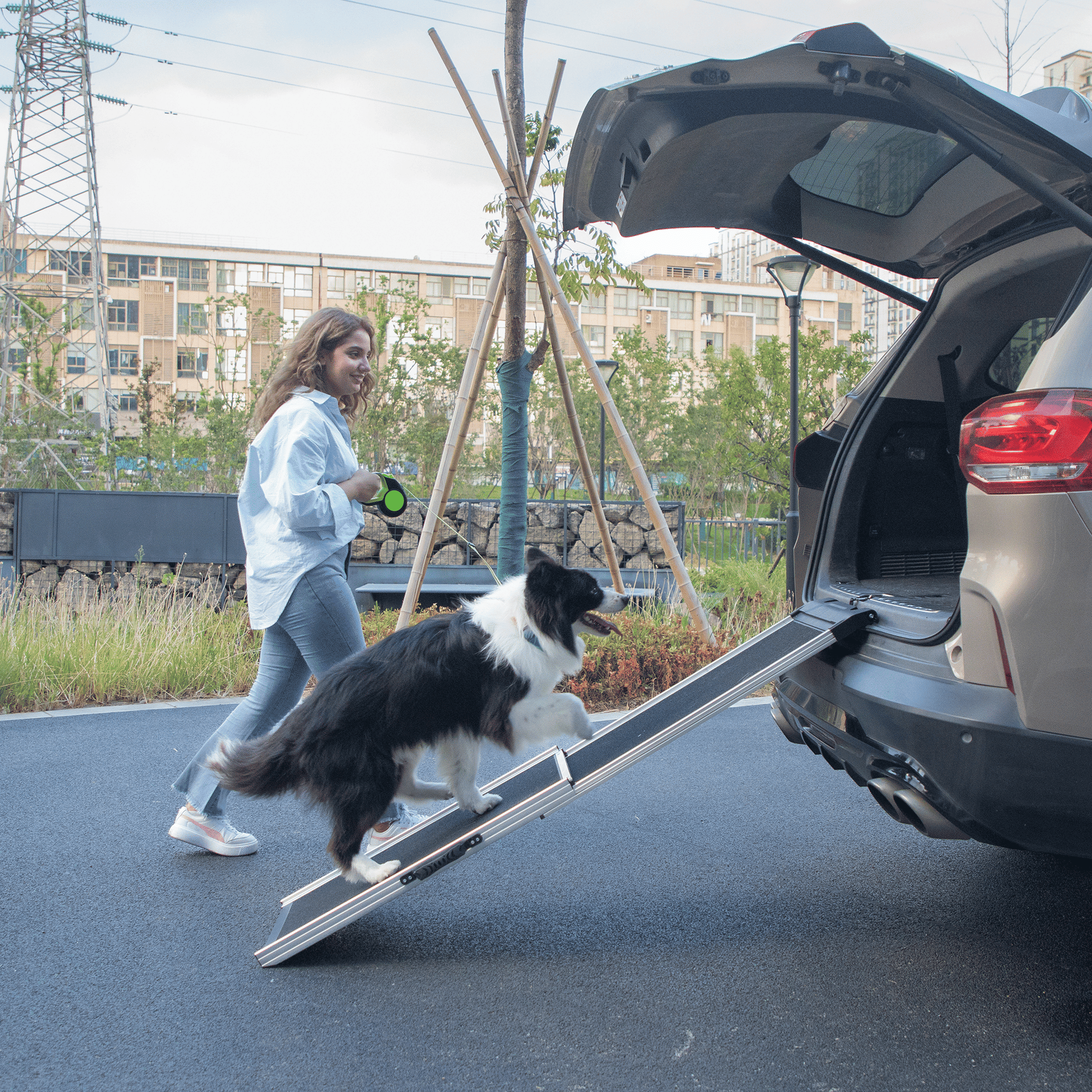  Non-slip Foot Mats for Most Sized Dogs, Pet Ramp Ladder, Black