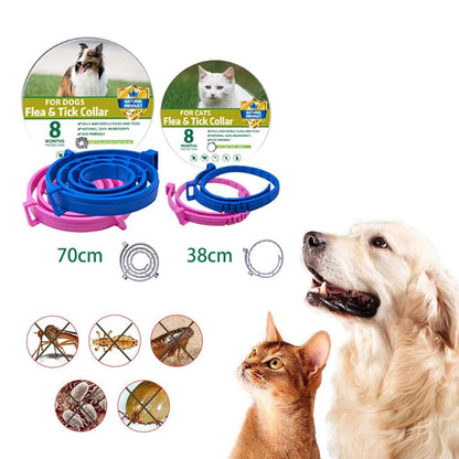 Boxed Anti Flea And Tick Dog Collar 