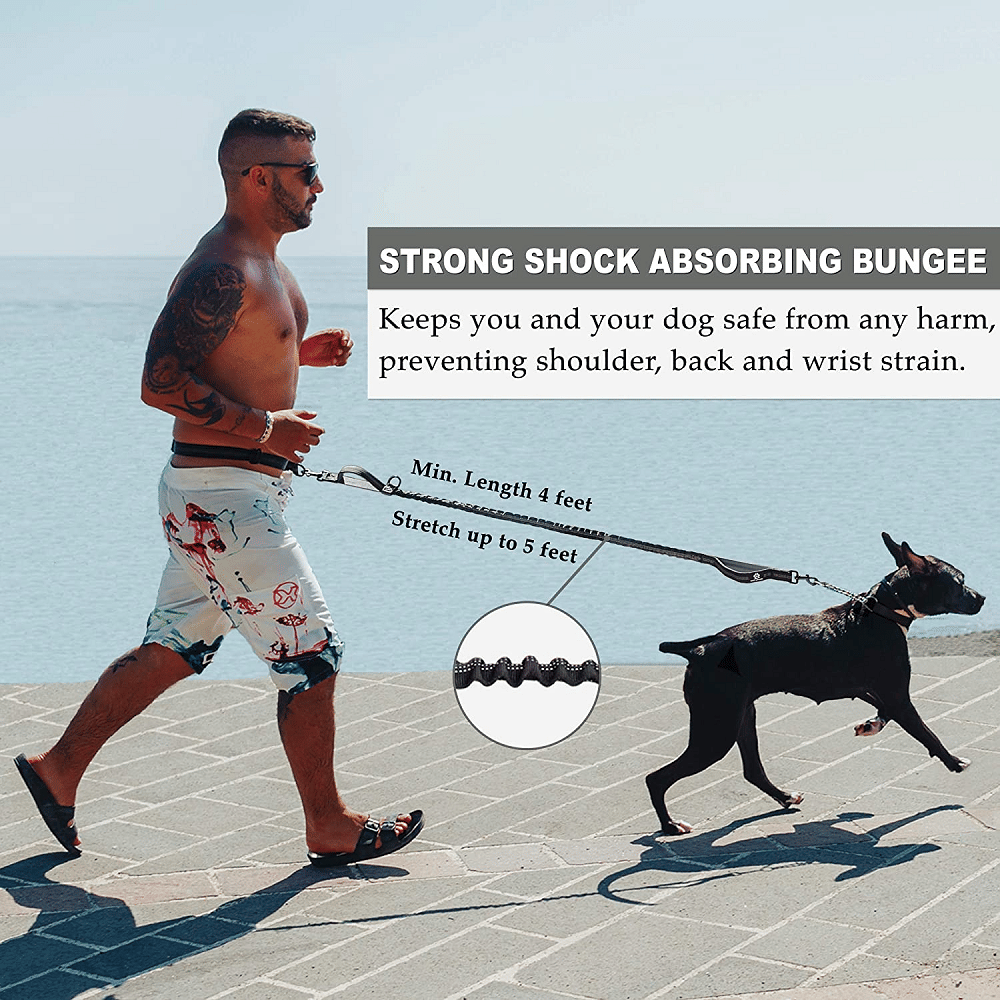 Hands Free Dog Leash for Medium and Large Dogs - Durable Dual Handle Waist Leash with Reflective Bungee for Running; Walking; Training; Hiking waist view