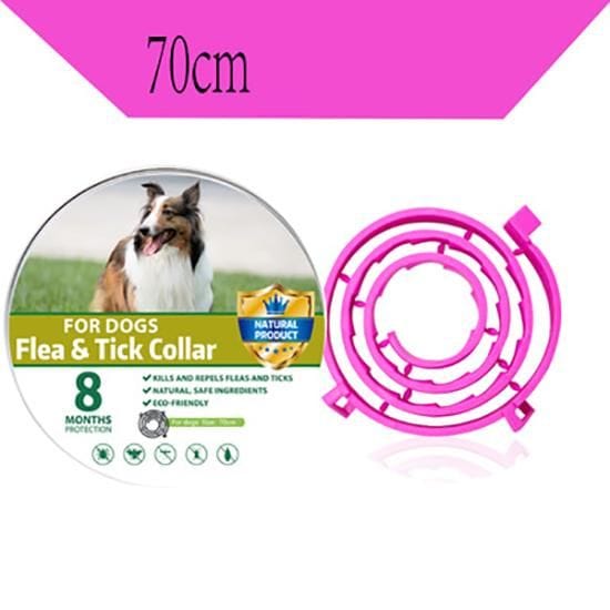 Size of Large Dog Collar