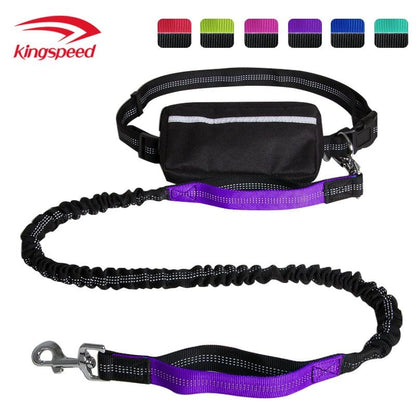 Have Hands Free with Dog Leash with Zipper Pouch; Dual Padded Handles and Durable Bungee for Walking; Jogging and Running Your Dog