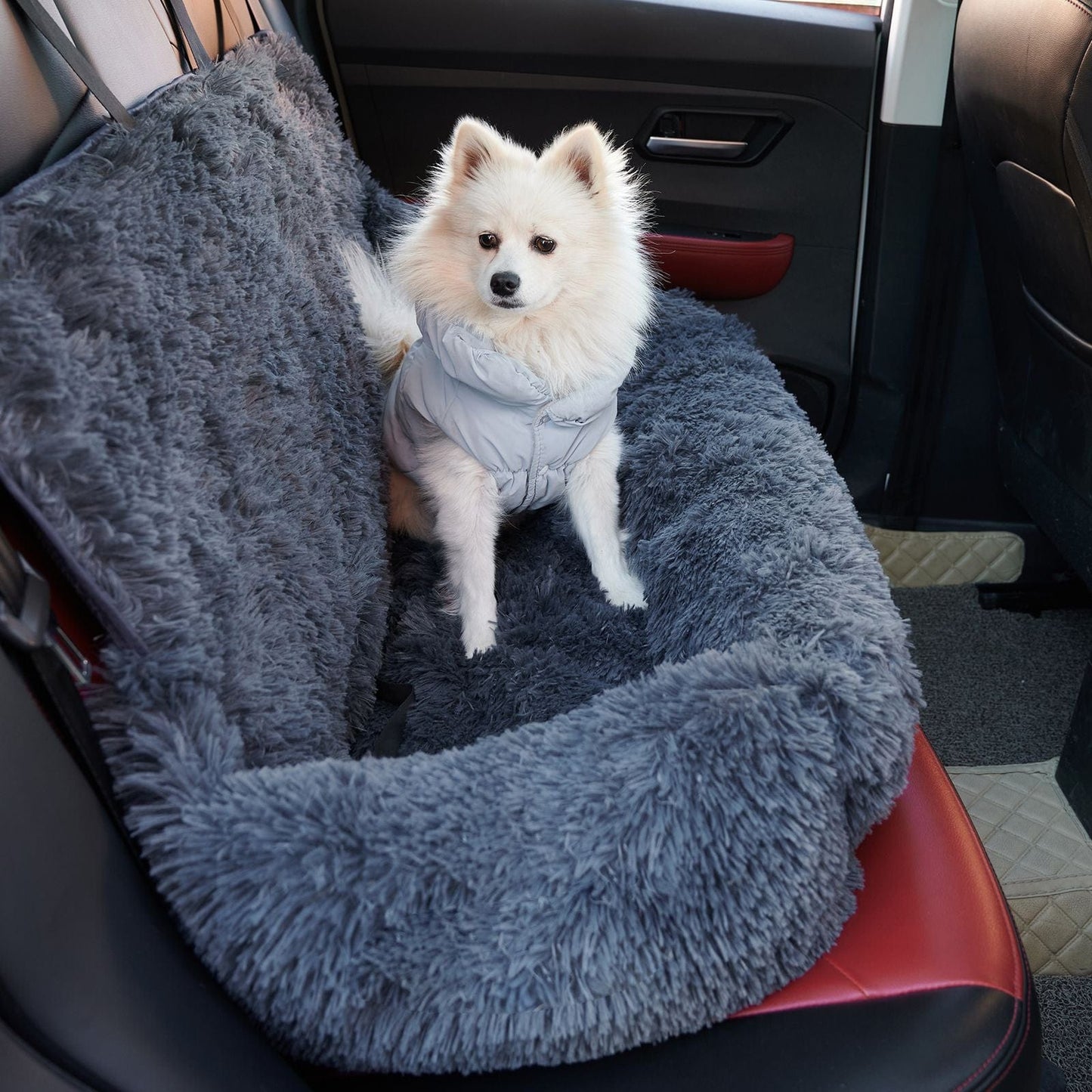 Booster Car Seat With Seatbelt, Washable & Comfy Pet Car Travel Bed, Clip-On Safety Leash - 10 of 10