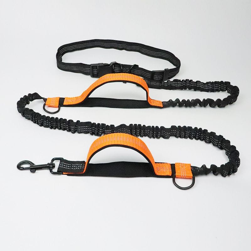 Hands Free Dog Leash for Medium and Large Dogs - Durable Dual Handle Waist Leash with Reflective Bungee for Running; Walking; Training; Hiking orange set