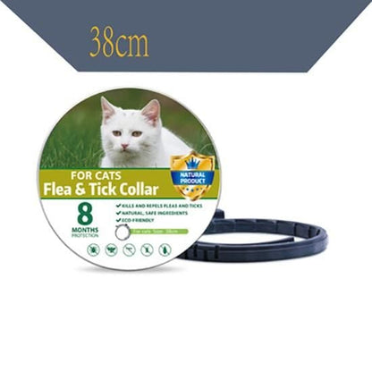 Size of Small Cat Collar