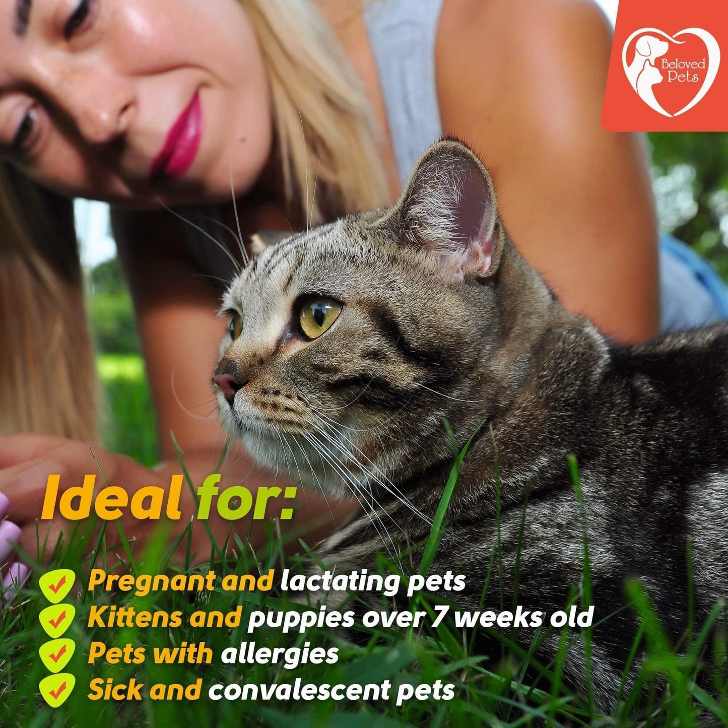 Flea and Tick Prevention for Dogs Cats Rabbits Natural Flea Treatment Home Pest Control Topical Flea Mosquito Repellent for Puppy Kitten 3 Drops for Small and Large Pet Ideal for all age pets