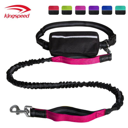 Free your hands with Dog Leash with Zipper Pouch; Dual Padded Handles and Durable Bungee for Walking; Jogging and Running Your Dog