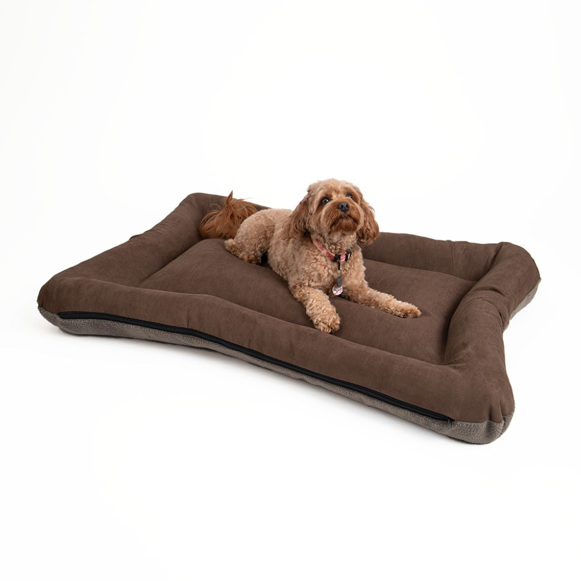 All Day Bed - Xl (37X50) - Hot Fudge/Ash
