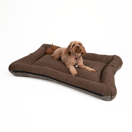 All Day Bed - Xl (37X50) - Hot Fudge/Ash