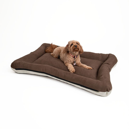 All Day Bed - Med (24X31) - Hot Fudge/Ivory