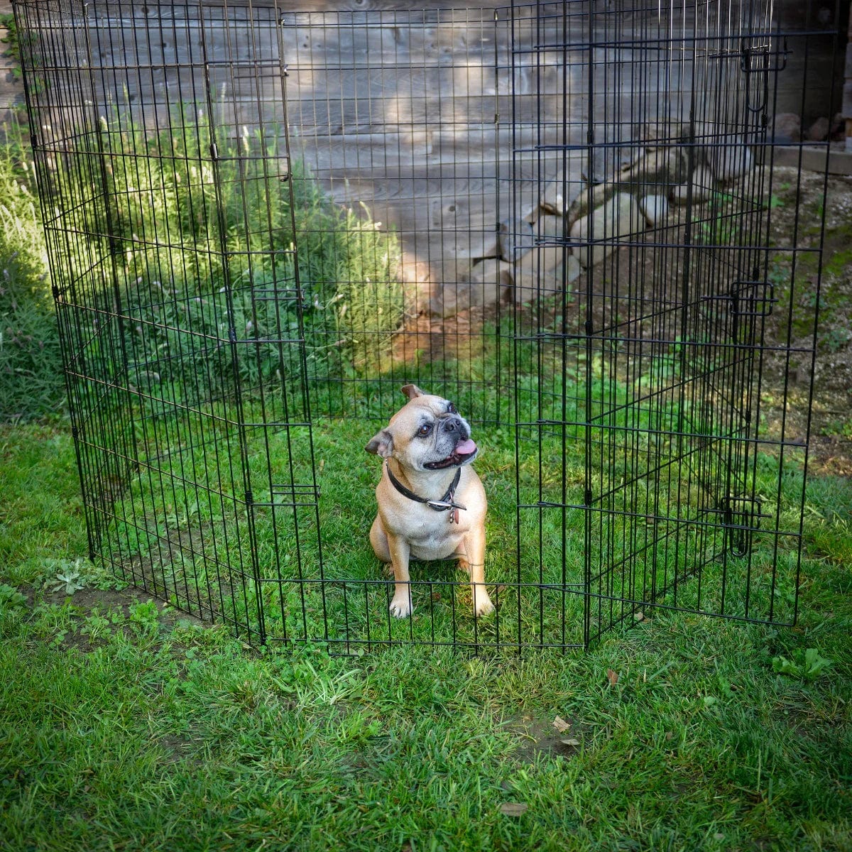 Lucky Dog Exercise Pen with Stakes, 63" L X 63" W X 48" H, Large