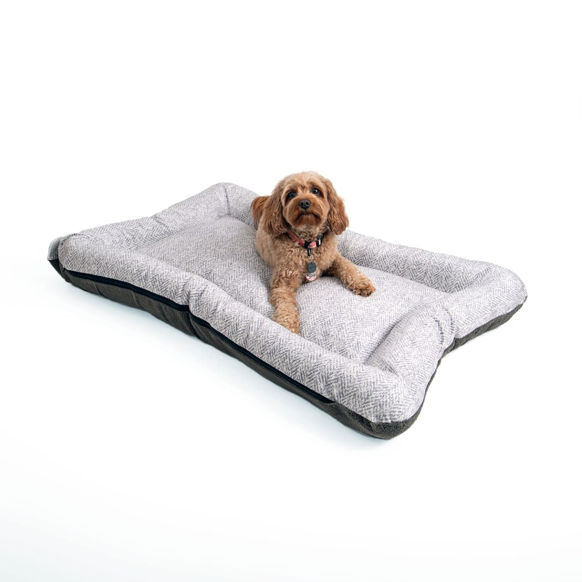All Day Bed - Med (24X31) - Palmer Dove/Ash