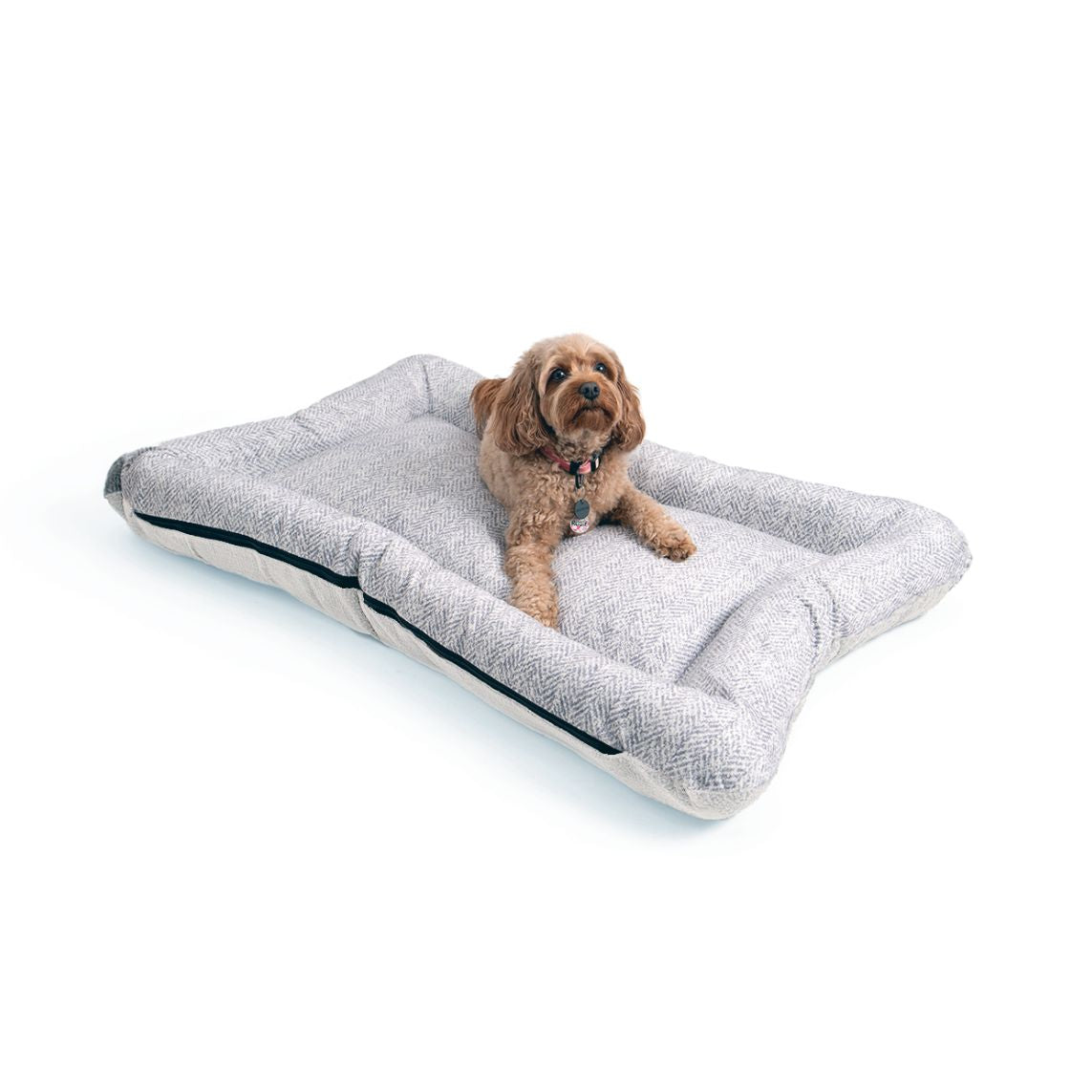 All Day Bed - Lg (30X40) - Palmer Dove/Ivory