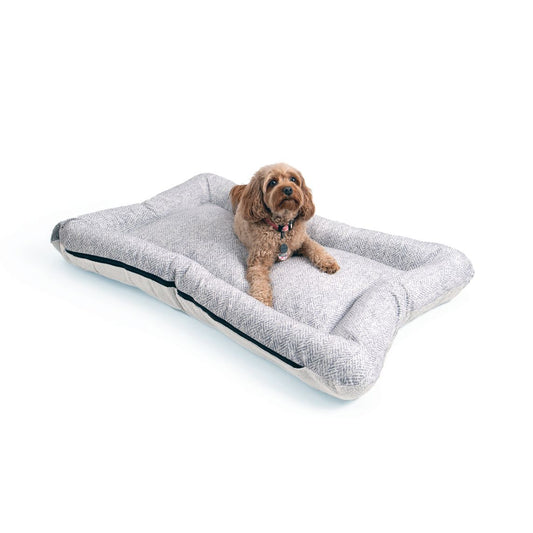 All Day Bed - Med (24X31) - Palmer Dove/Ivory