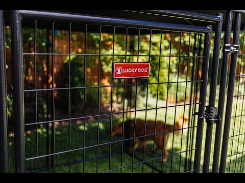 Lucky Dog STAY Series 10 x 10 x 6 Foot Roofed Steel Frame Villa Dog Kennel