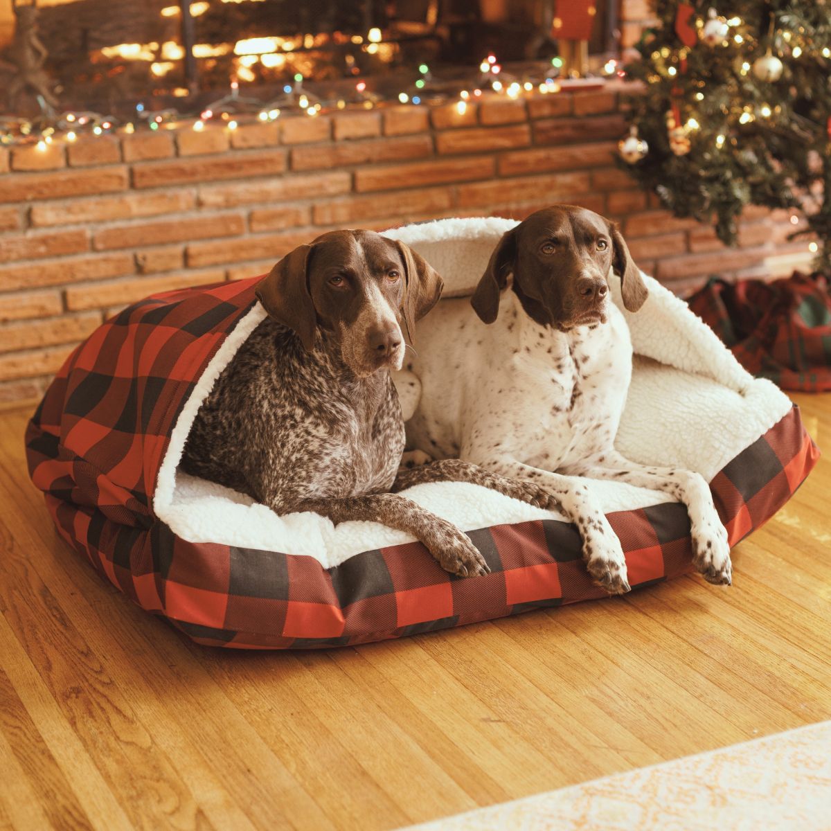 Cozy Orthopedic Rectangle Cave - Lg - Buffalo Check