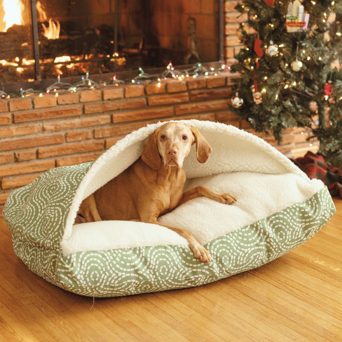 Holiday Rectangle Cave - Sm - Denver Pine