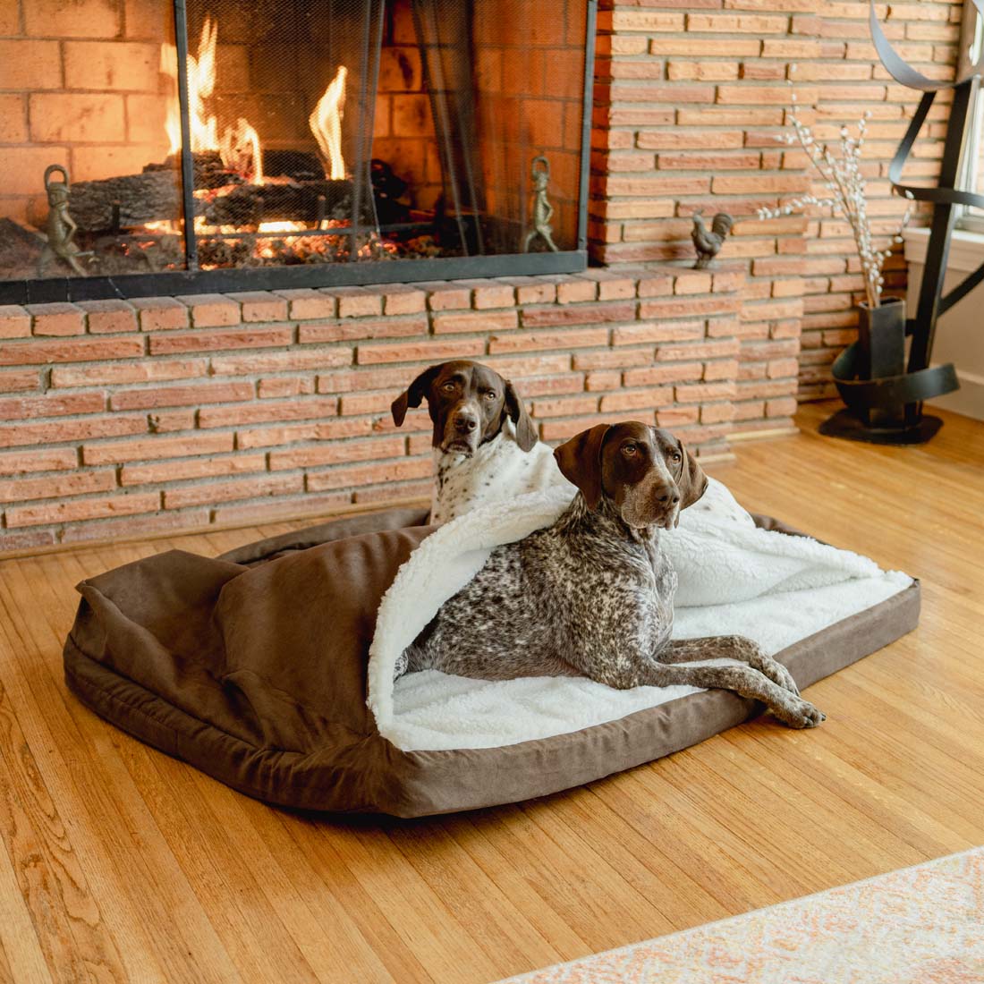 Cozy Orthopedic Rectangle Cave - Xl - Hot Fudge