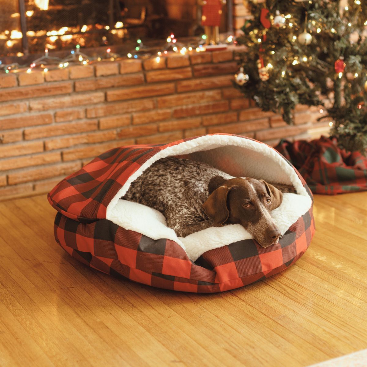 Holiday Cozy Cave - Xl - Buffalo Check
