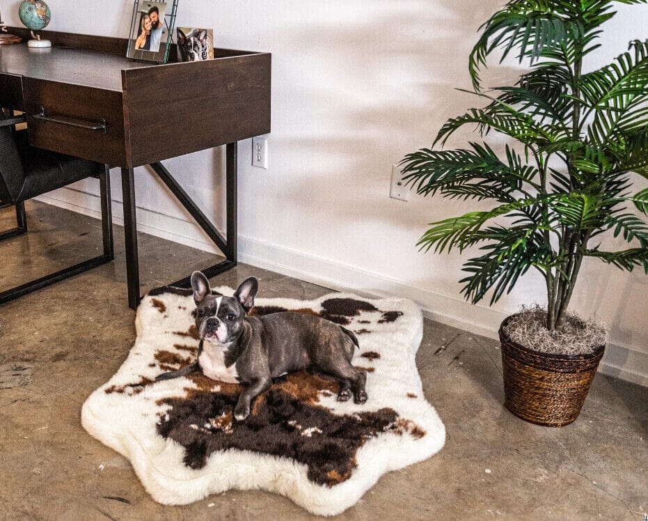 Paw Puprug Animal Print Memory Foam Dog Bed Brown Faux Cowhide Medium