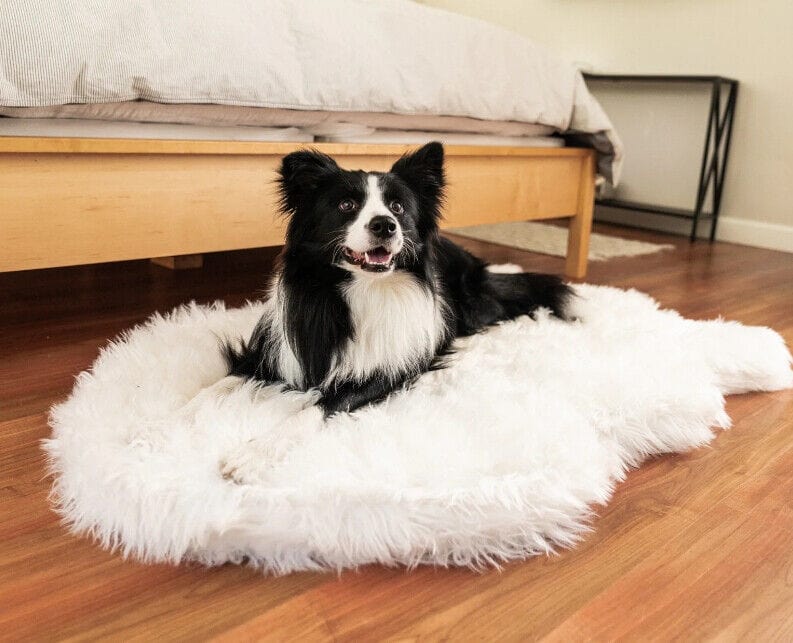 Paw PupRug Faux Fur Orthopedic Dog Bed White Medium