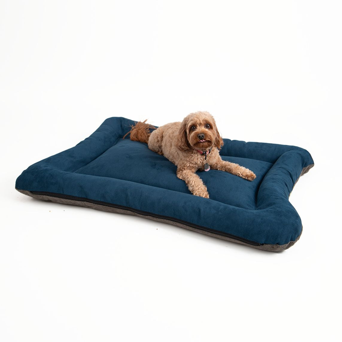 All Day Bed - Med (24X31) - Sapphire/Ash