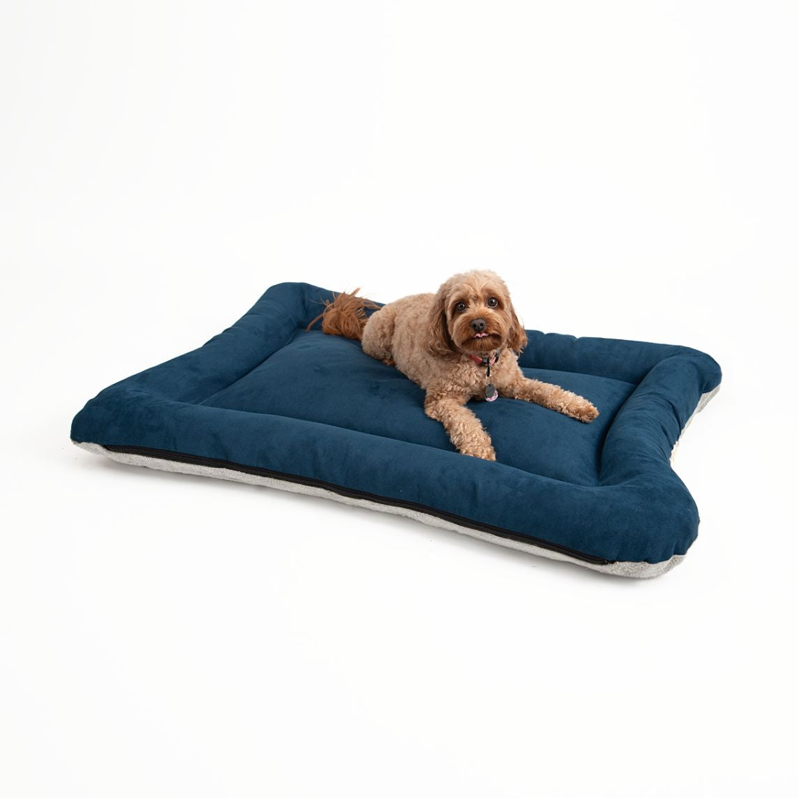 All Day Bed - Sm (20X26) - Sapphire/Ivory