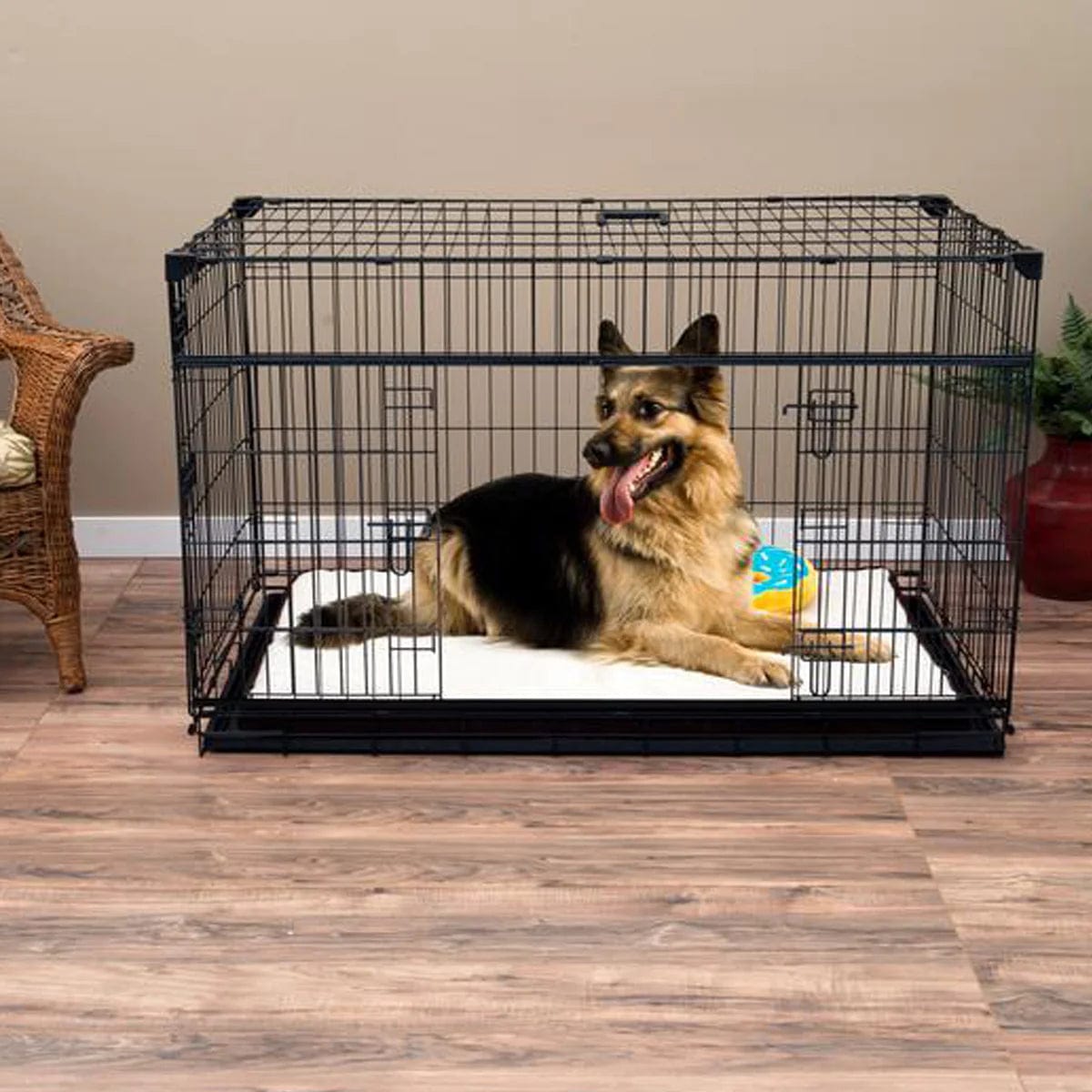 Lucky Dog Double-Door Dog Crate with Sliding Doors, 42" L X 28" W X 31" H, Large