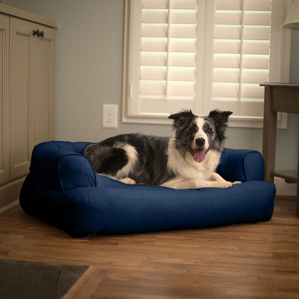 Luxury Sleeper Sofa - Lg - Sapphire