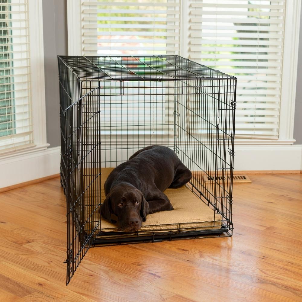 Forgiveness Crate Pad - Sm - (23X15) - Camel