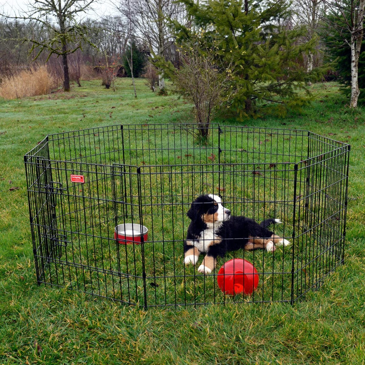 Lucky Dog Exercise Pen with Stakes, 63" L X 63" W X 48" H, Large