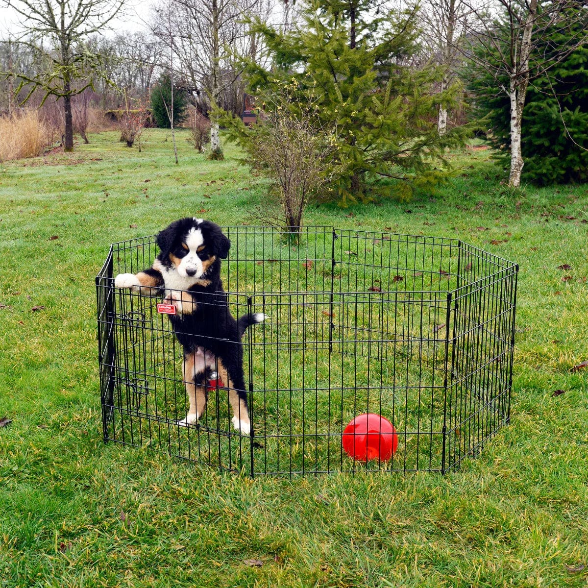 Lucky Dog Exercise Pen with Stakes, 63" L X 63" W X 48" H, Large