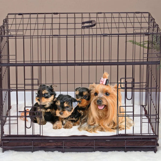 Lucky Dog Double-Door Dog Crate with Sliding Doors, 36" L X 23" W X 25" H, Medium