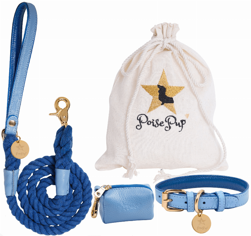 Pet Dog Harness - Ocean Vibes