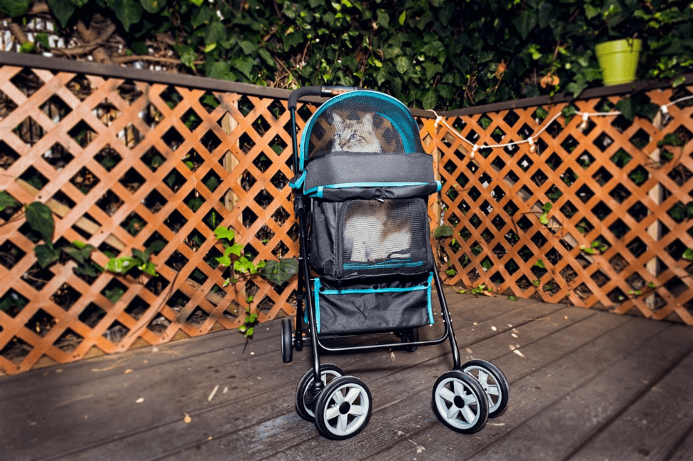 Pet and Pets Swift Pet Stroller
