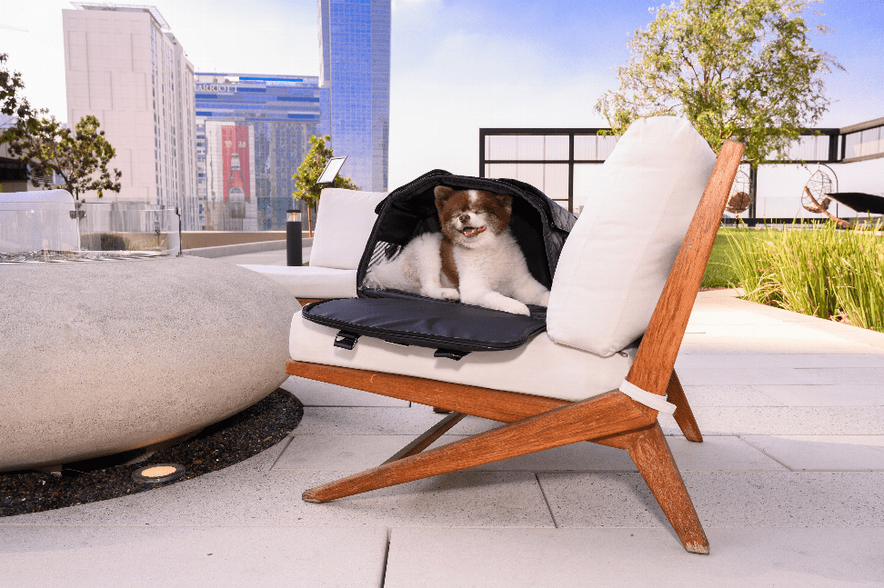 The Lux Pet Carrier For Dogs