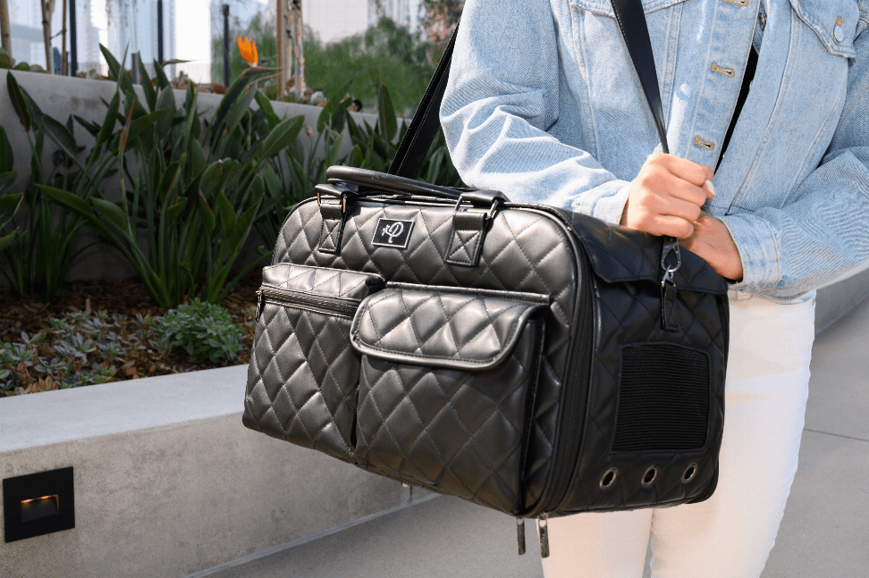 The Lux Pet Carrier For Dogs