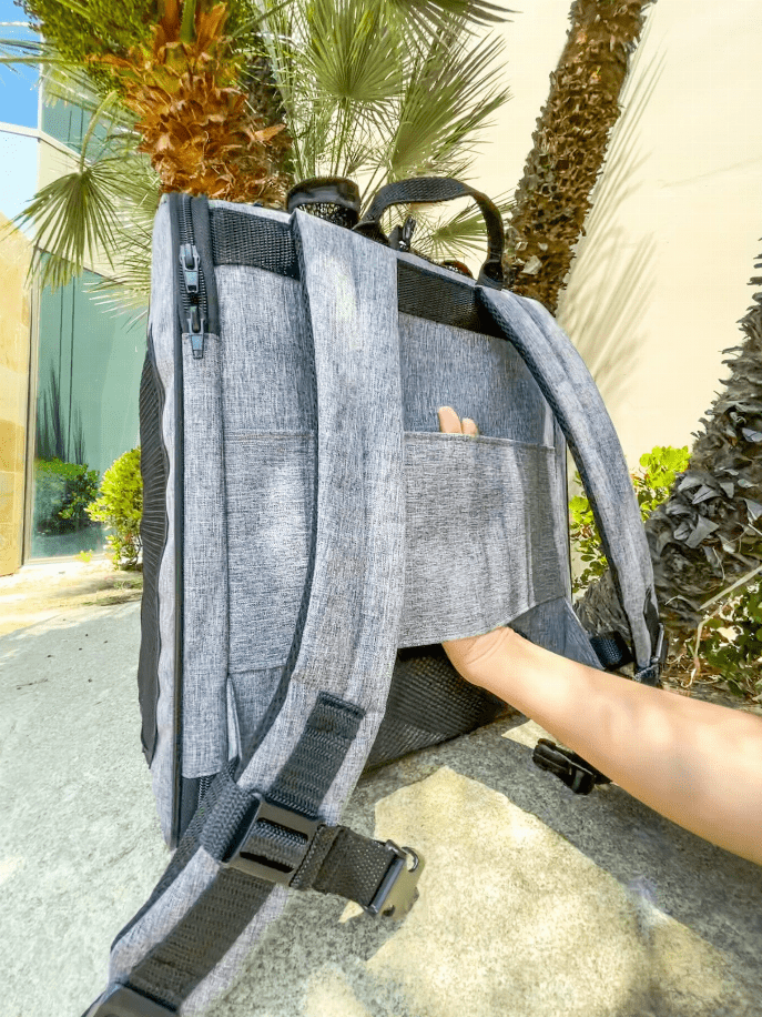 The Backpacker Dog Cat Pet Carrier