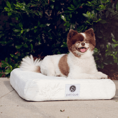 Bamboo Memory Foam Pet Dog Bed