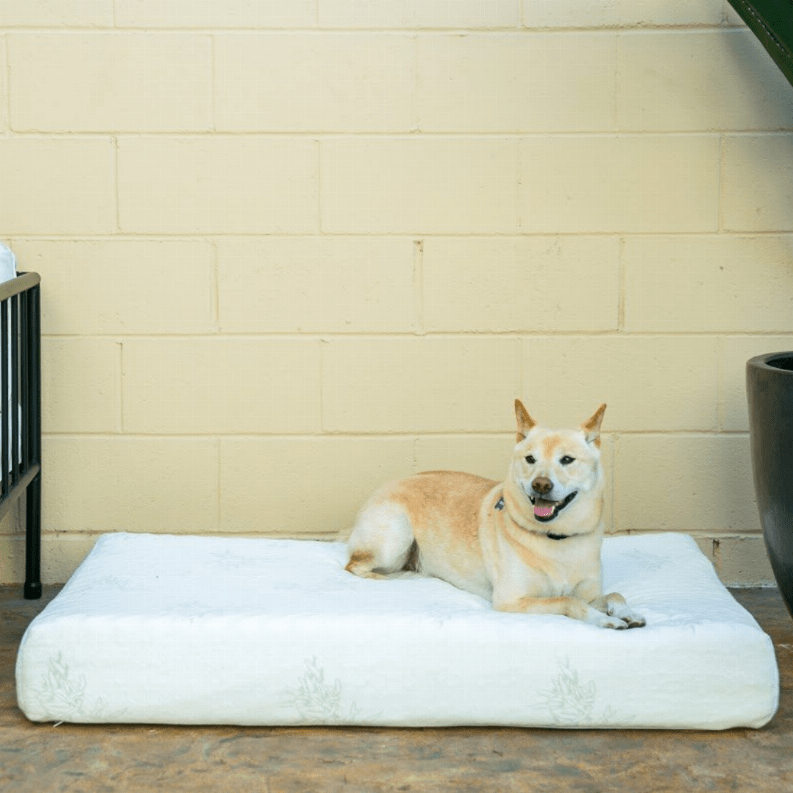Bamboo Memory Foam Pet Dog Bed